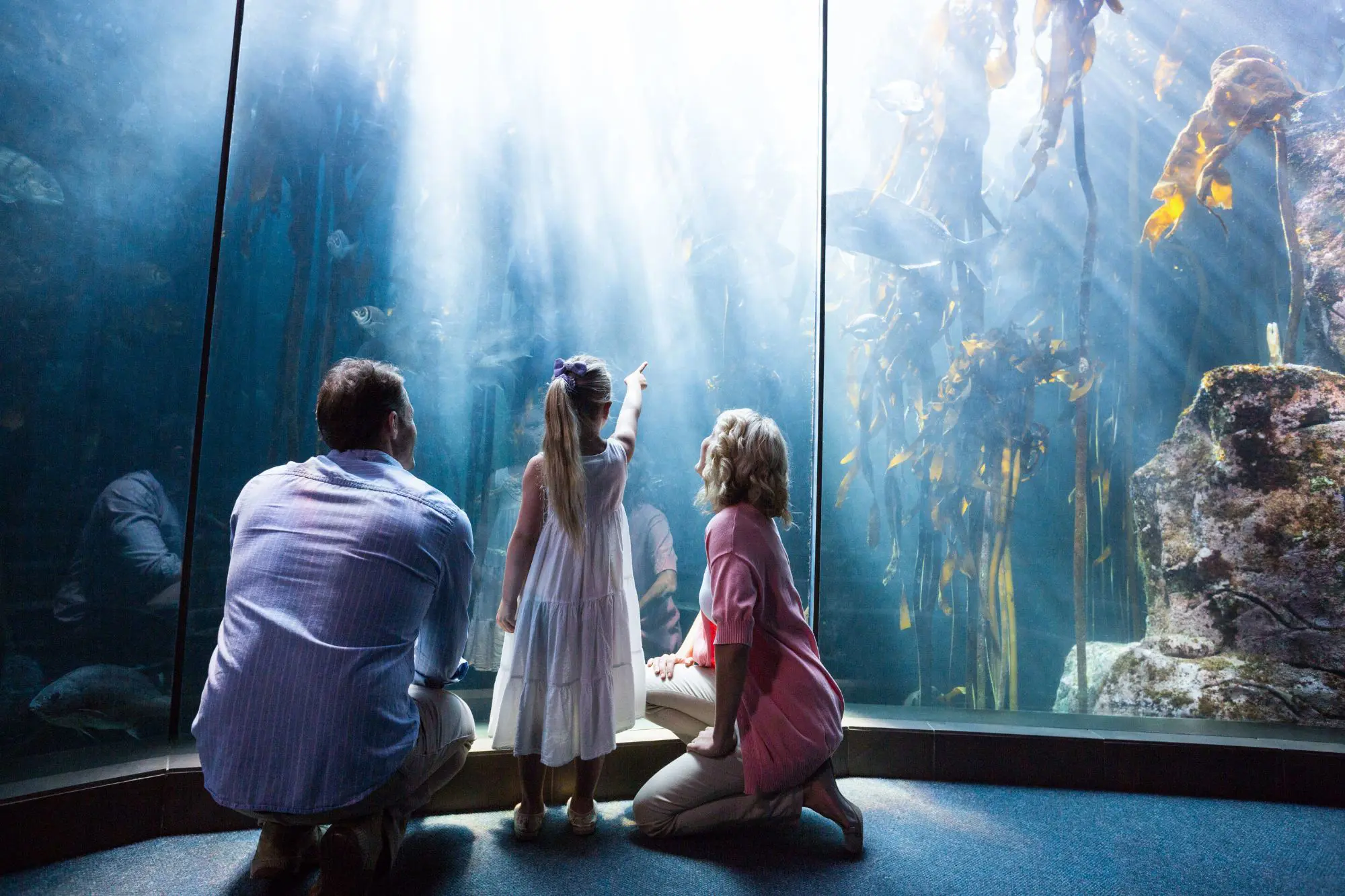 Aquarium