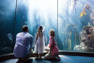 Aquarium
